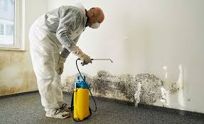 Best Biohazard Mold Removal  in USA